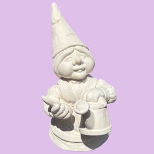 Gnome 080
