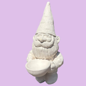 Gnome 081