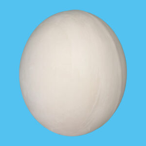 Egg 010