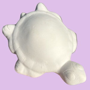Turtle 011